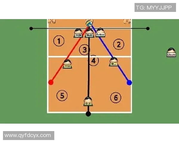 上海排球队中路突破分析与战术反思探讨